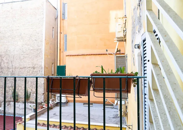 Casina Ameli